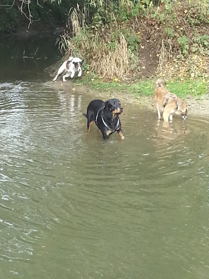 Atos im Bade.jpg (709 x 945)